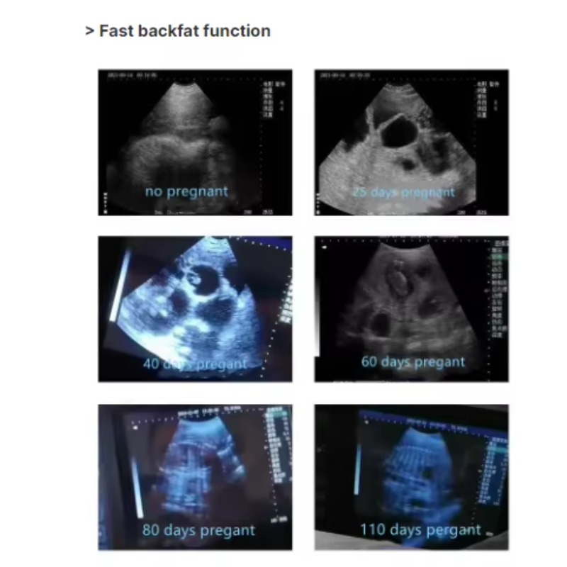 Veterinary Ultrasound Scanner Portable - Veterinary Handheld Wireless Ultrasound Scanner for
