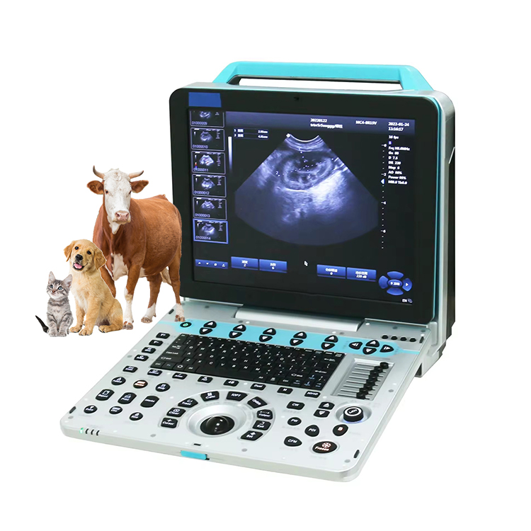 Veterinary Ultrasound Scanner Portable - VUP5 Portable Vet Scanner 4D Veterinary