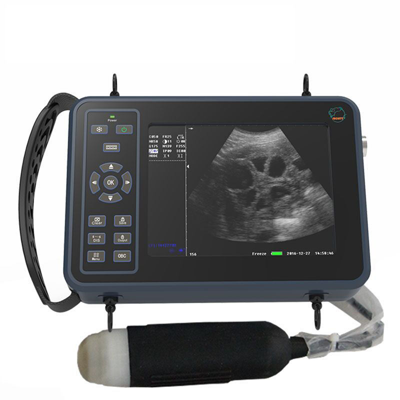 Livestock Ultrasound Pregnancy - 5.6 Inch Livestock Portable Veterinary Ultrasound