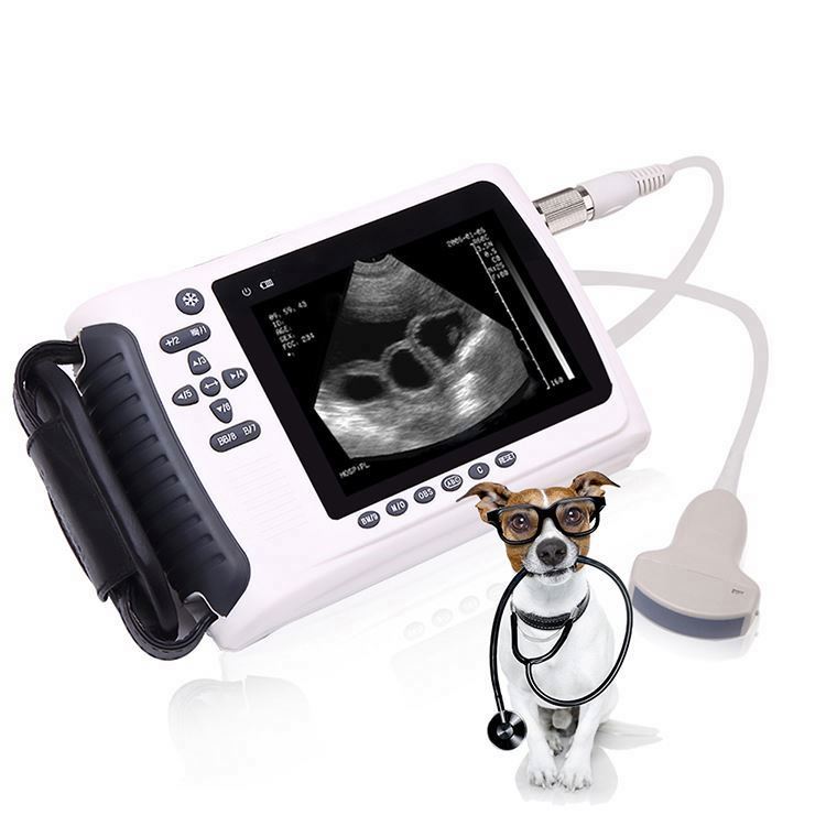 Veterinary Ultrasound Scanner Portable - Portable Handheld Veterinary Ultrasound Scanner for