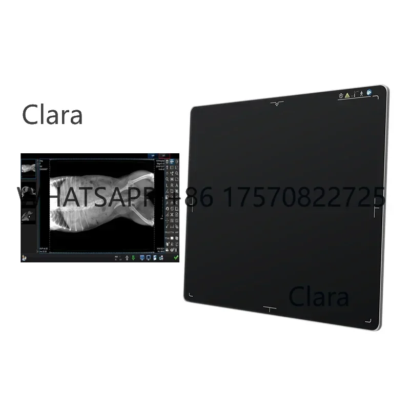 Veterinary X Ray Machine - 17*17 Flat Panel Detector Veterinary Digital