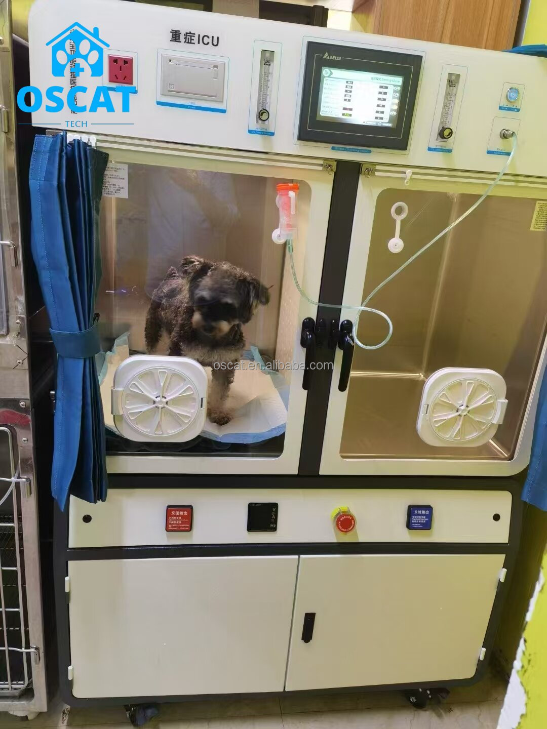 Veterinary Equipment ICU Oxyge - Animal Incubator Veterinary review and price