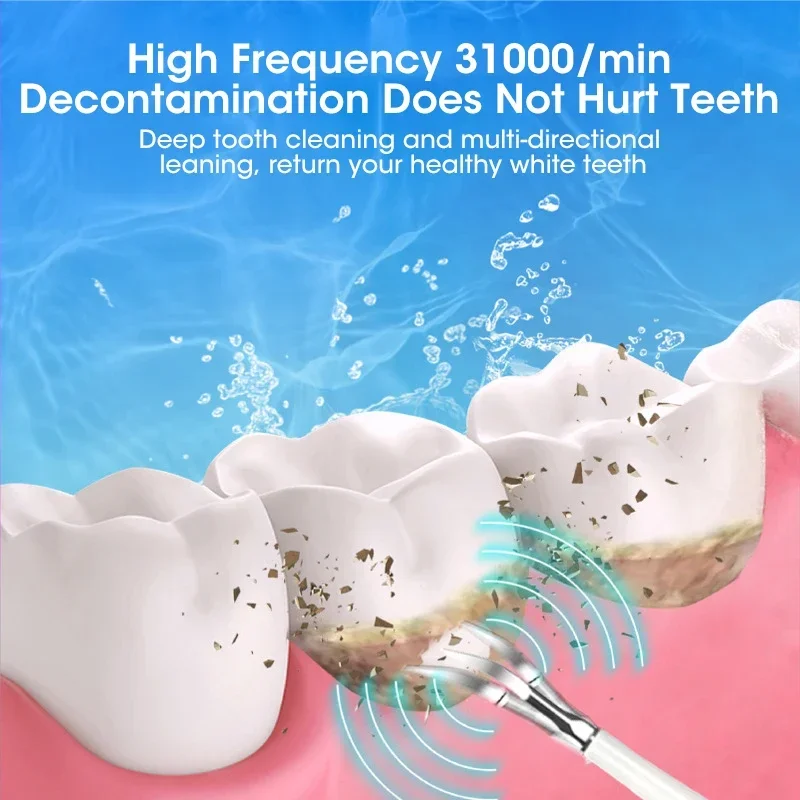 Ultrasonic Scaler for Teeth Cl - Veterinary Dental Scaler review and price