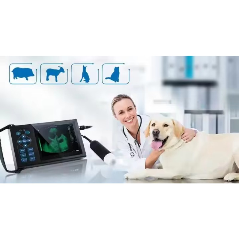 Veterinary Handheld Wireless U - Veterinary Ultrasound Scanner Portable review and price