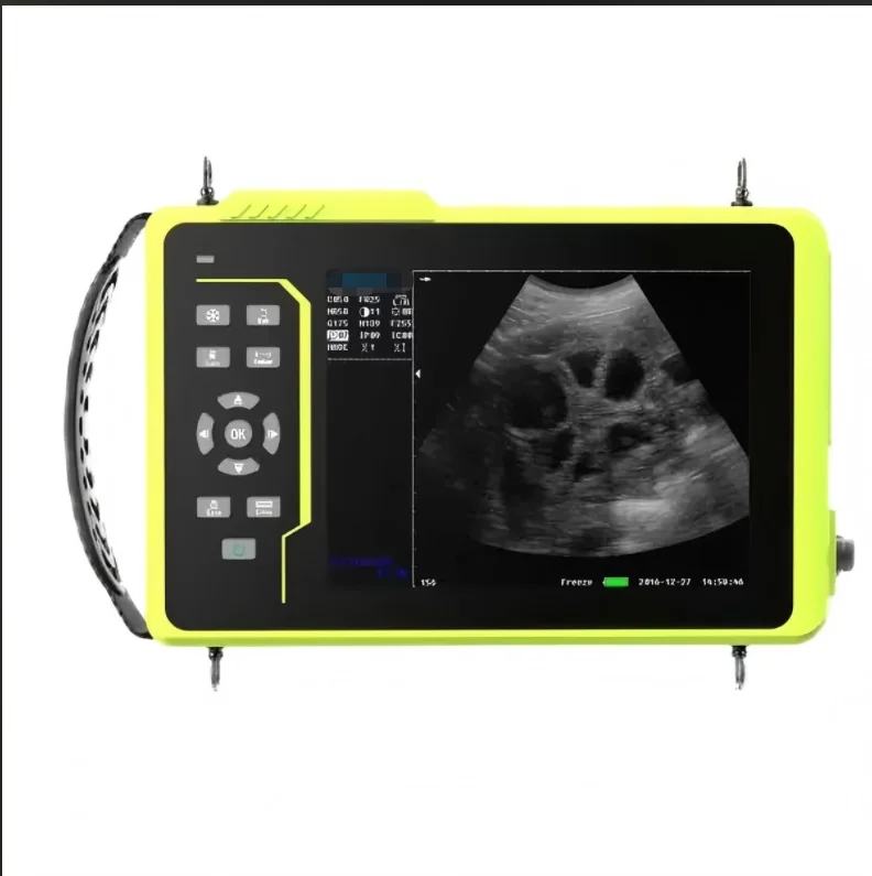 # for a8 Inch Waterproof Porta - Veterinary Ultrasound Scanner Portable review and price