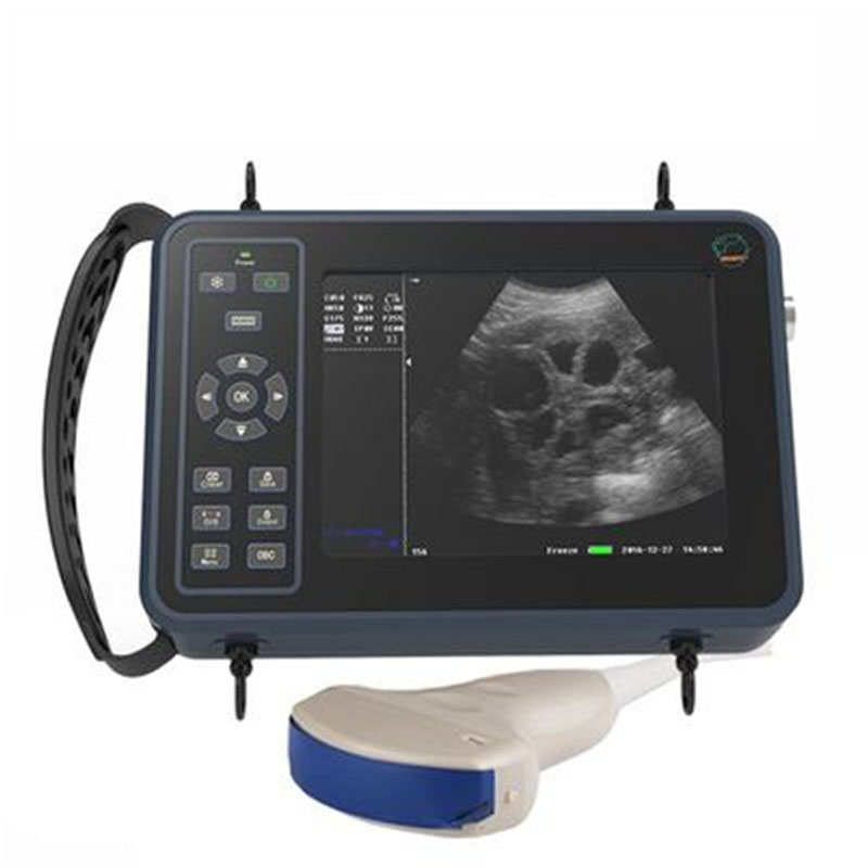 5.6 Inch Livestock Portable Ve - Livestock Ultrasound Pregnancy review and price