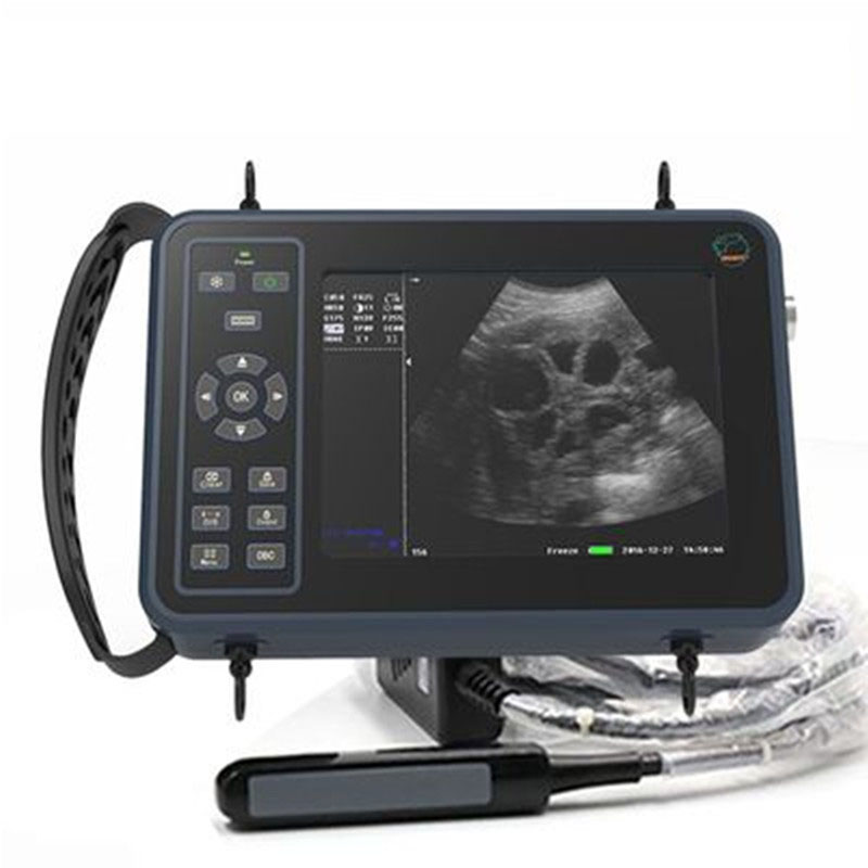 5.6 Inch Livestock Portable Ve - Livestock Ultrasound Pregnancy review and price