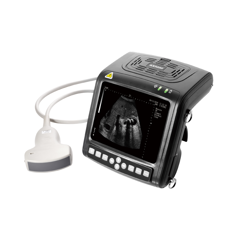 Mecan Vet Animal Pregnancy Tes - Livestock Ultrasound Pregnancy review and price