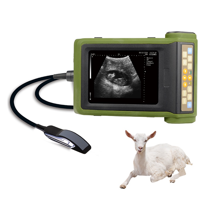 Mecan Vet Animal Pregnancy Tes - Livestock Ultrasound Pregnancy review and price