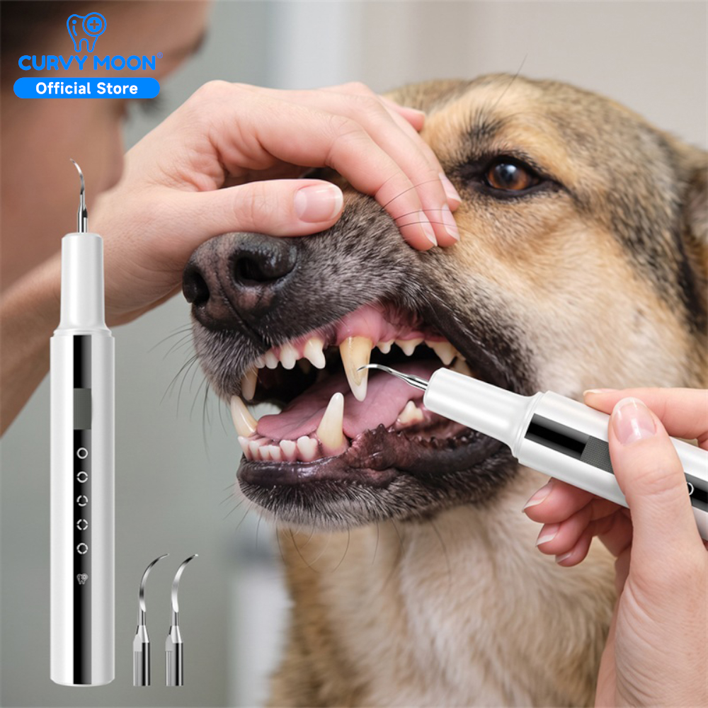 Pet Dental Care Ultrasonic Tee - Veterinary Dental Scaler review and price