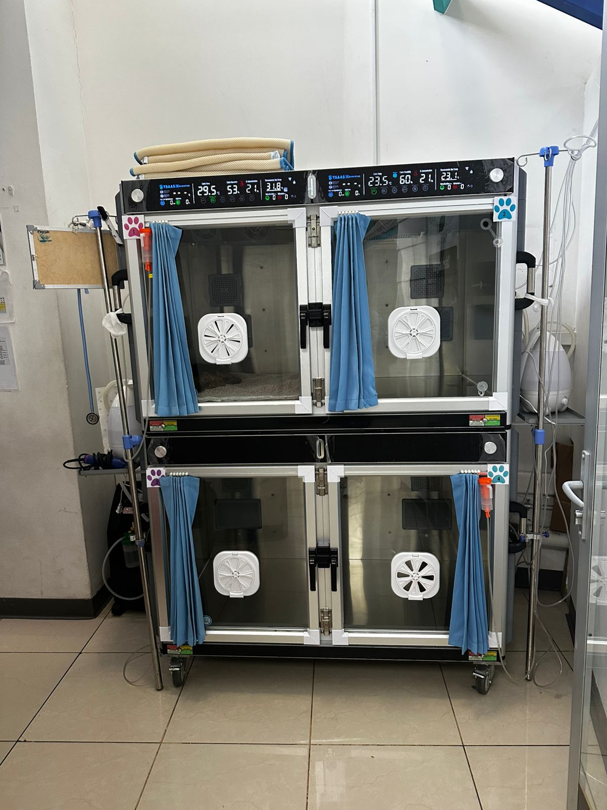 Fully Automatic Veterinary Hos - Animal Incubator Veterinary review and price
