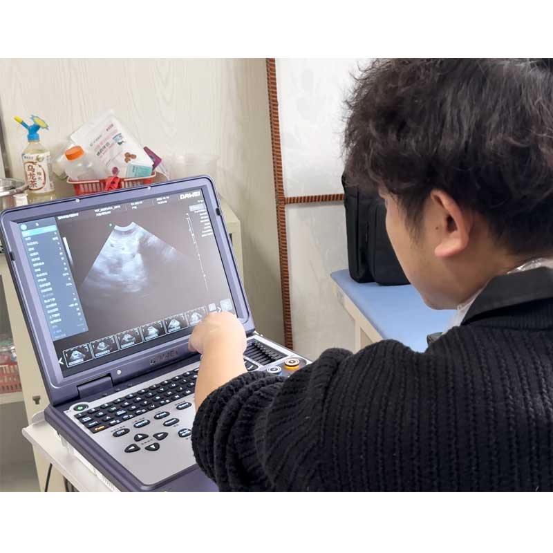 Dawei Portable Ultrasound Vete - Veterinary Ultrasound Scanner Portable review and price