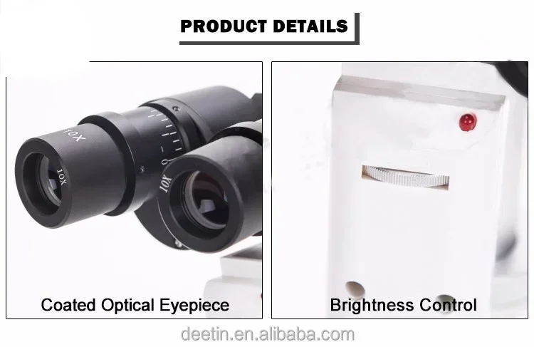 Hot sales Veterinary Slit Lamp - Veterinary Microscope Binocular review and price