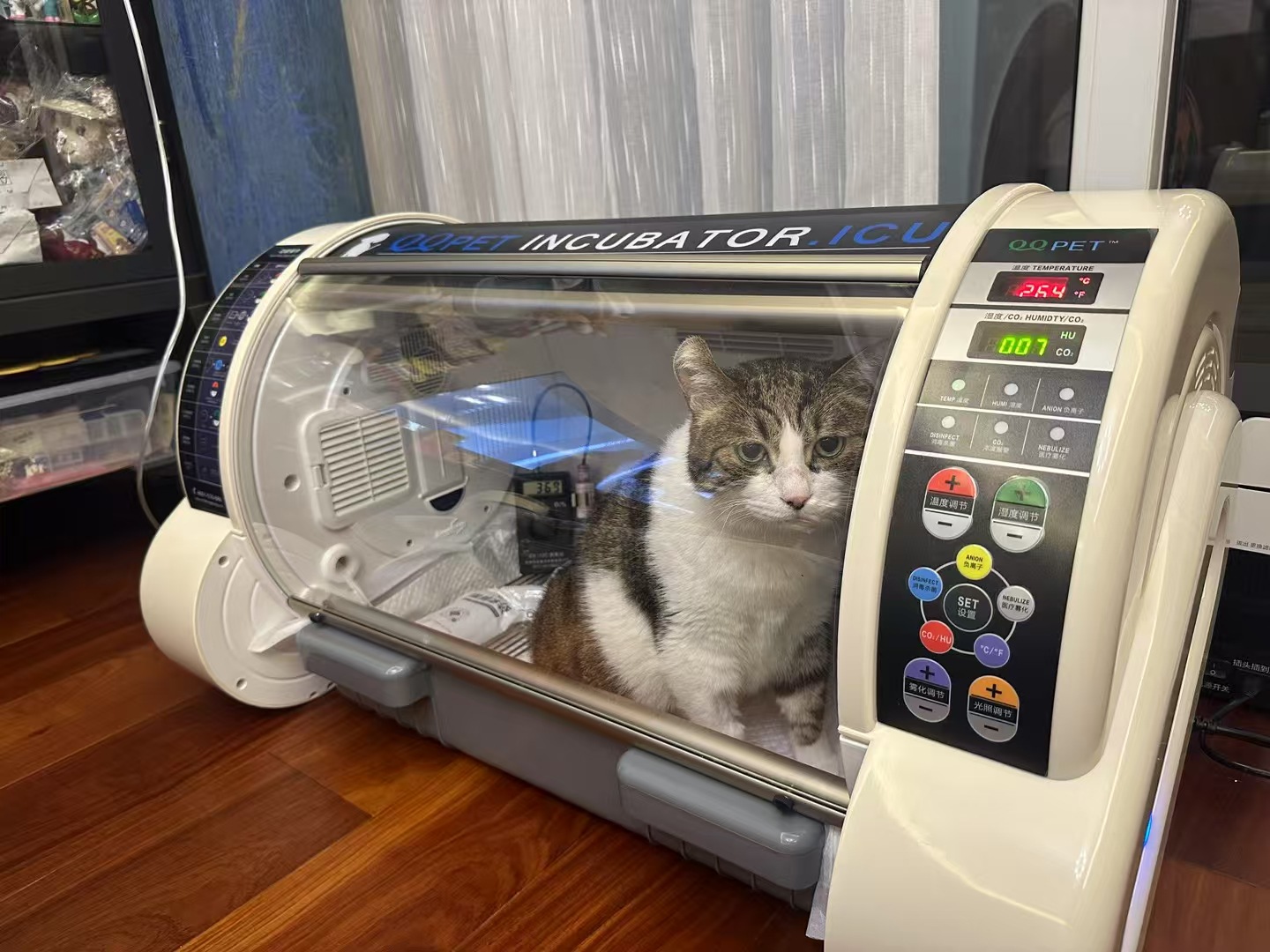 Portable Veterinary ICU Chambe - Animal Incubator Veterinary review and price