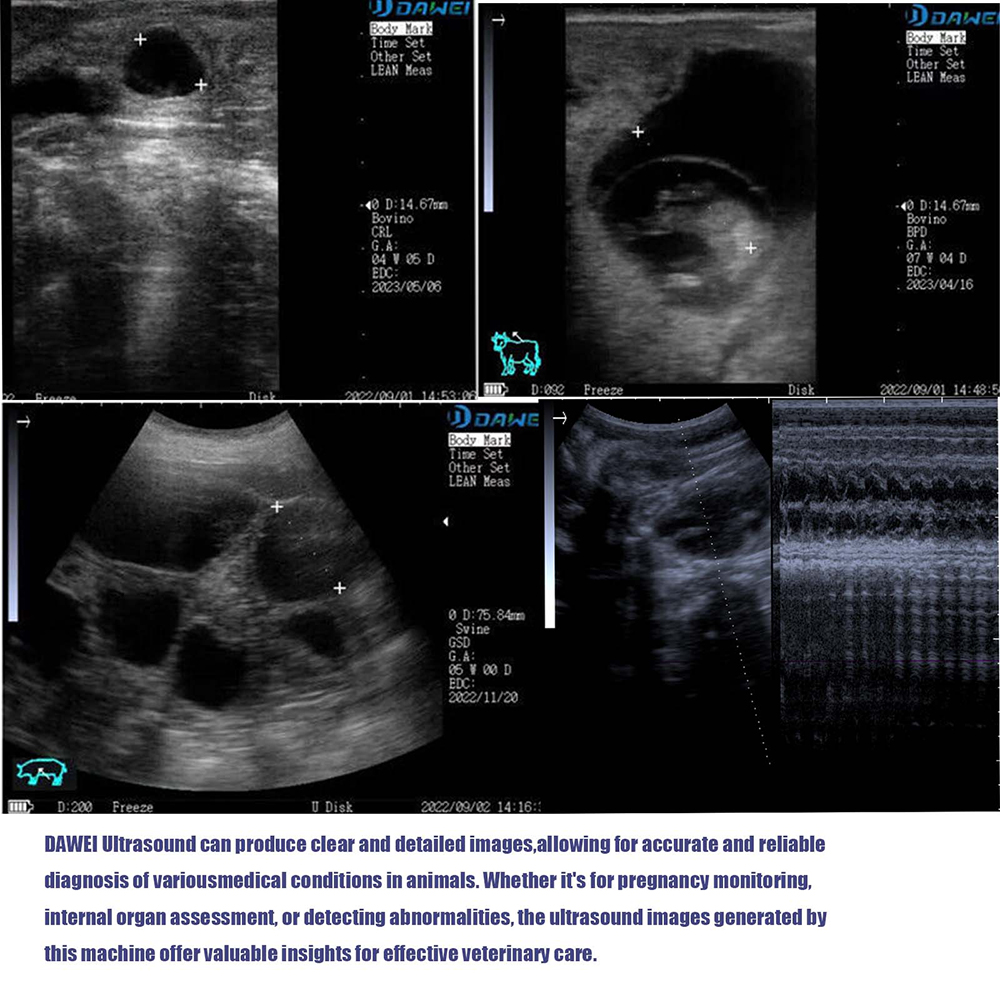 Portable Veterinary Ultrasound - Veterinary Ultrasound Scanner Portable review and price