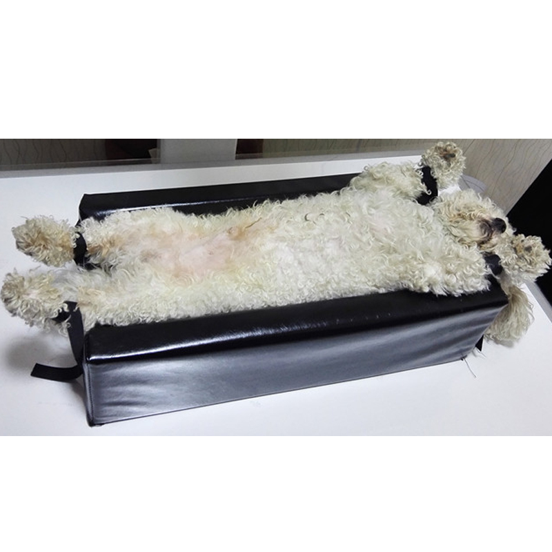 Small Size    Animal Xray Mach - Veterinary X Ray Machine review and price