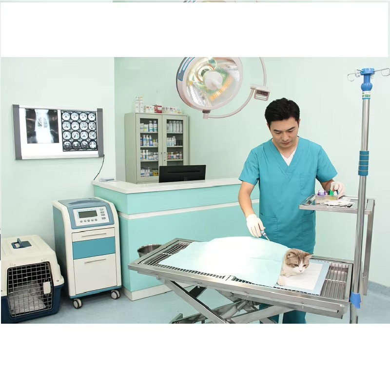 Professional Electric Veterina - Veterinary Blood Analyzer review and price