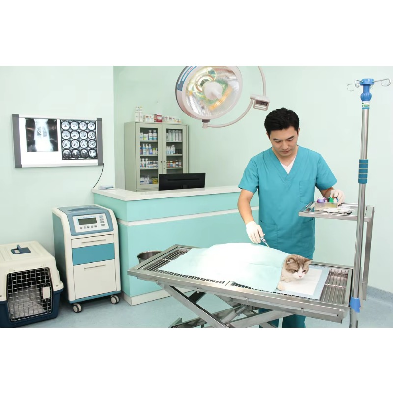 Professional Electric Veterina - Veterinary Blood Analyzer review and price