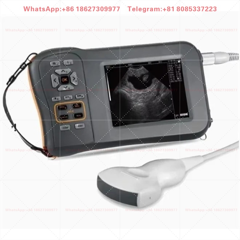 Sheep Pig Cow Equine Pre-gnanc - Veterinary Ultrasound Scanner Portable review and price