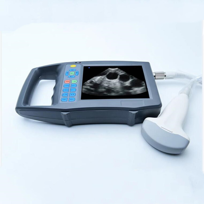 Portable HD Color Veterinary B - Livestock Ultrasound Pregnancy review and price