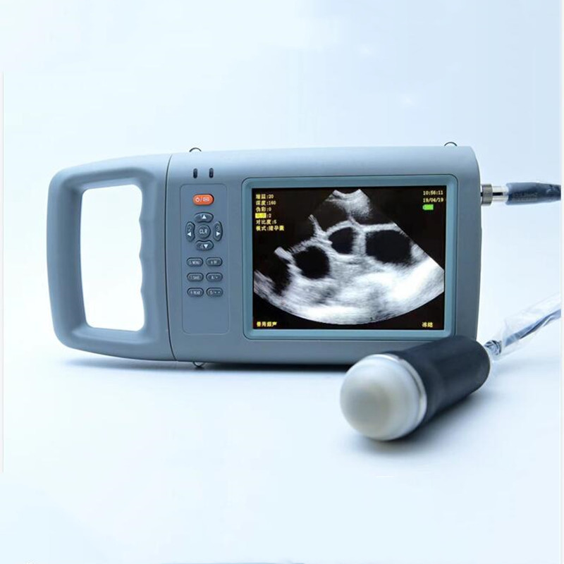 Portable HD Color Veterinary B - Livestock Ultrasound Pregnancy review and price