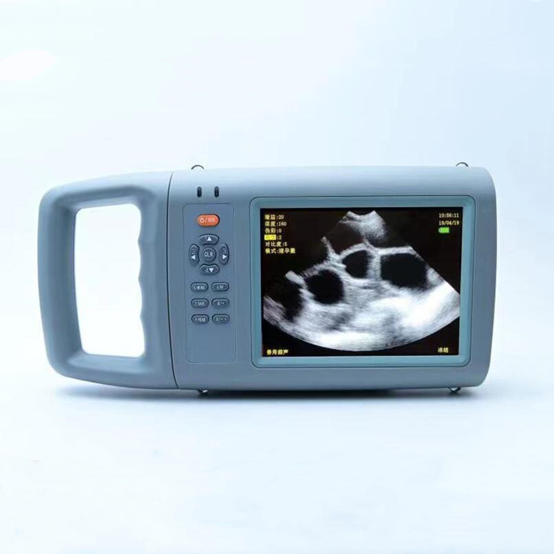 Portable HD Color Veterinary B - Livestock Ultrasound Pregnancy review and price