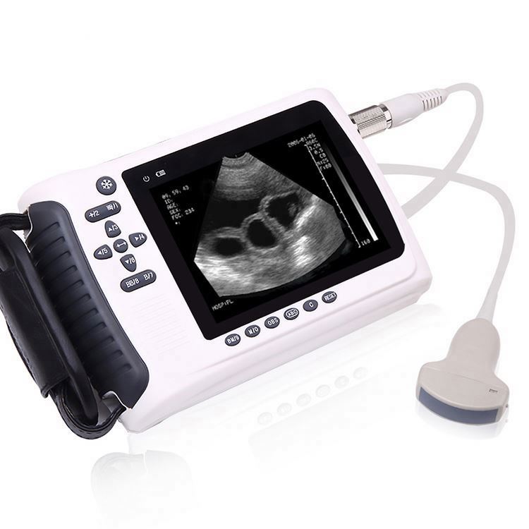 Portable Handheld Veterinary U - Veterinary Ultrasound Scanner Portable review and price