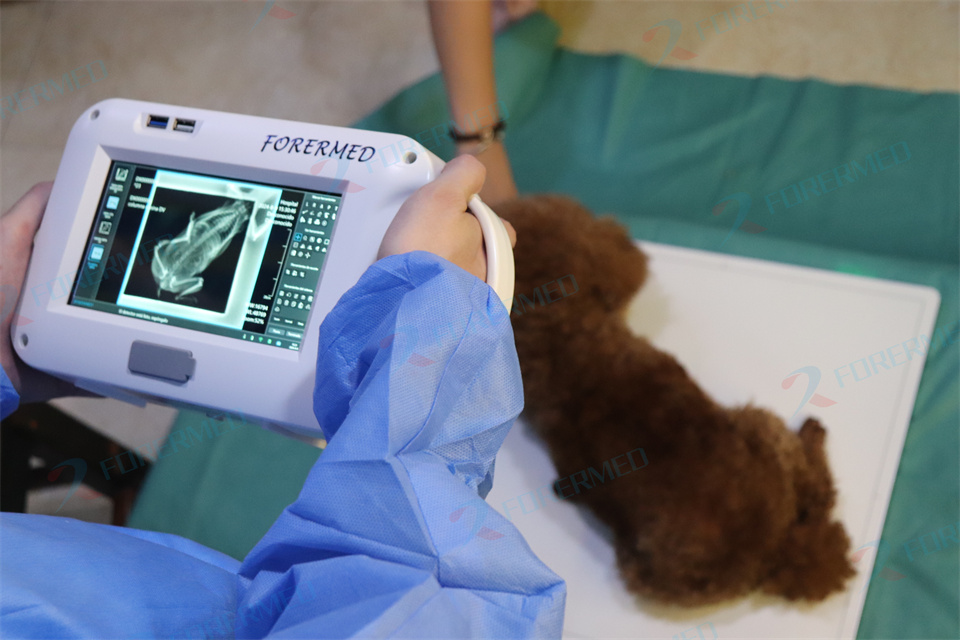 Mini Veterinary X Ray Machine  - Veterinary X Ray Machine review and price