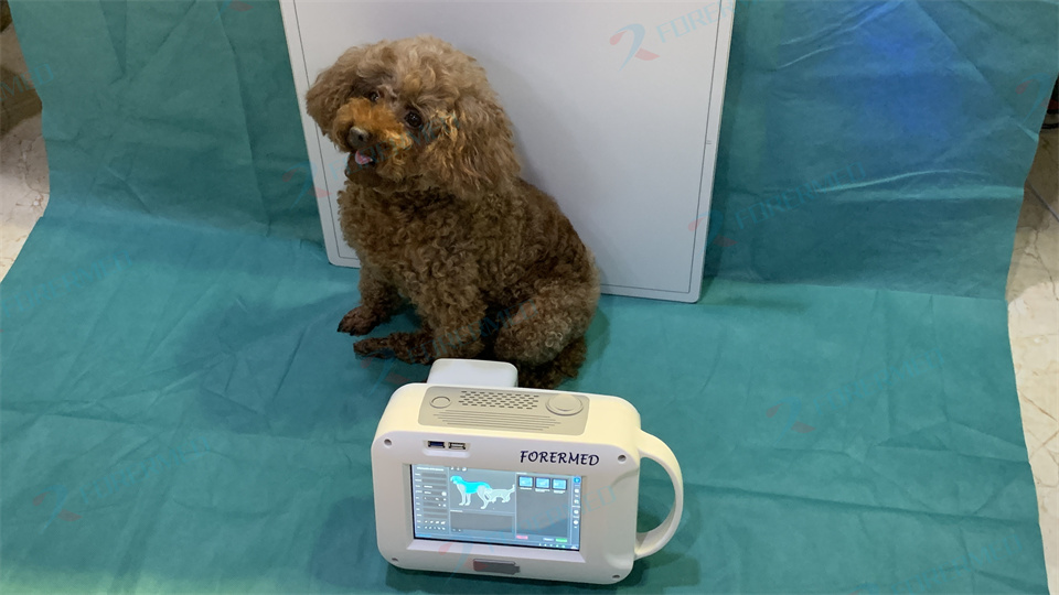 Mini Veterinary X Ray Machine  - Veterinary X Ray Machine review and price