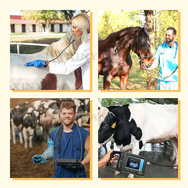 Ultrasound Machine Pregnancy P - Livestock Ultrasound Pregnancy review and price
